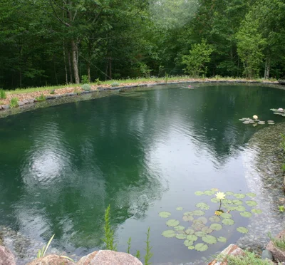 <p>Serving New England with natural and garden swimming pools</p>