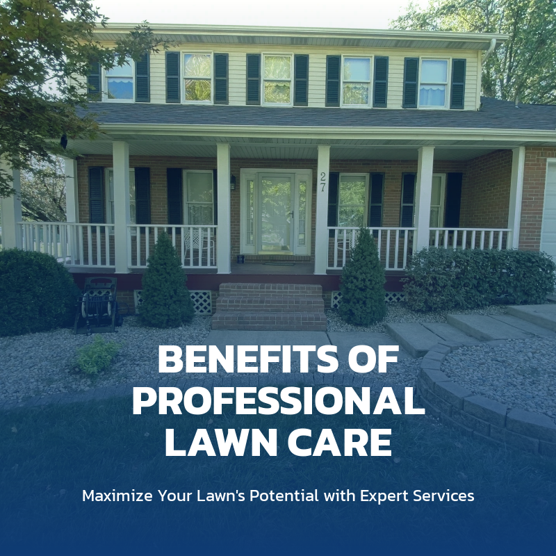 The Benefits of Hiring a Professional for Lawn Care in St. Louis/Metro East Area