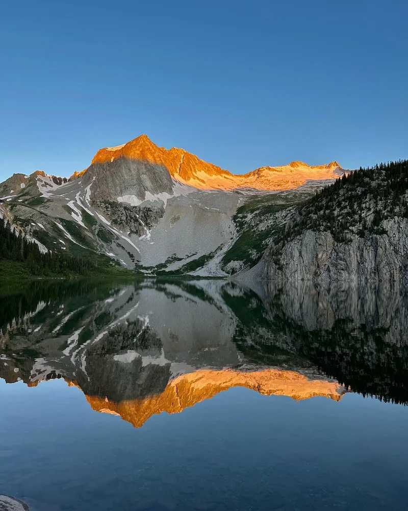 <p>another local foodie in the Colorado Rockies</p>