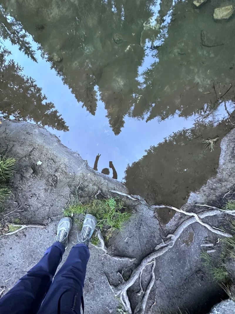 <p>another local foodie in the Colorado Rockies</p>