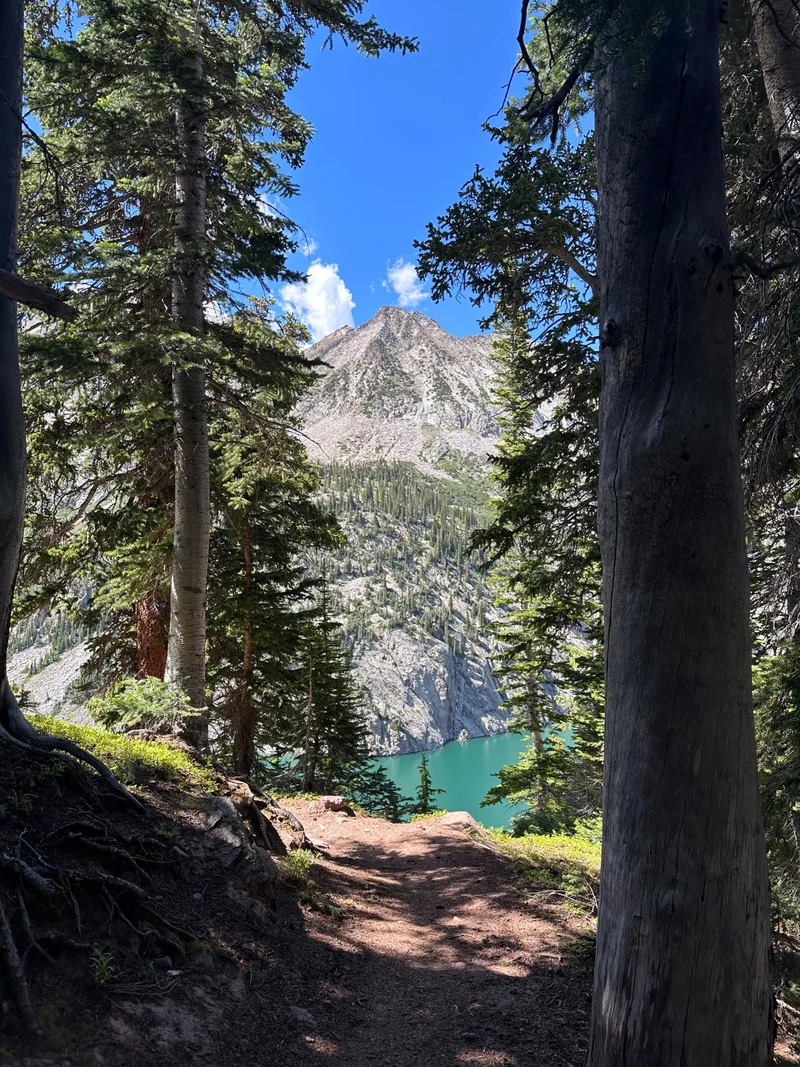 <p>another local foodie in the Colorado Rockies</p>