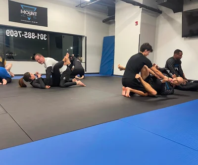 <p>Brazilian Jiu Jitsu for all levels</p>