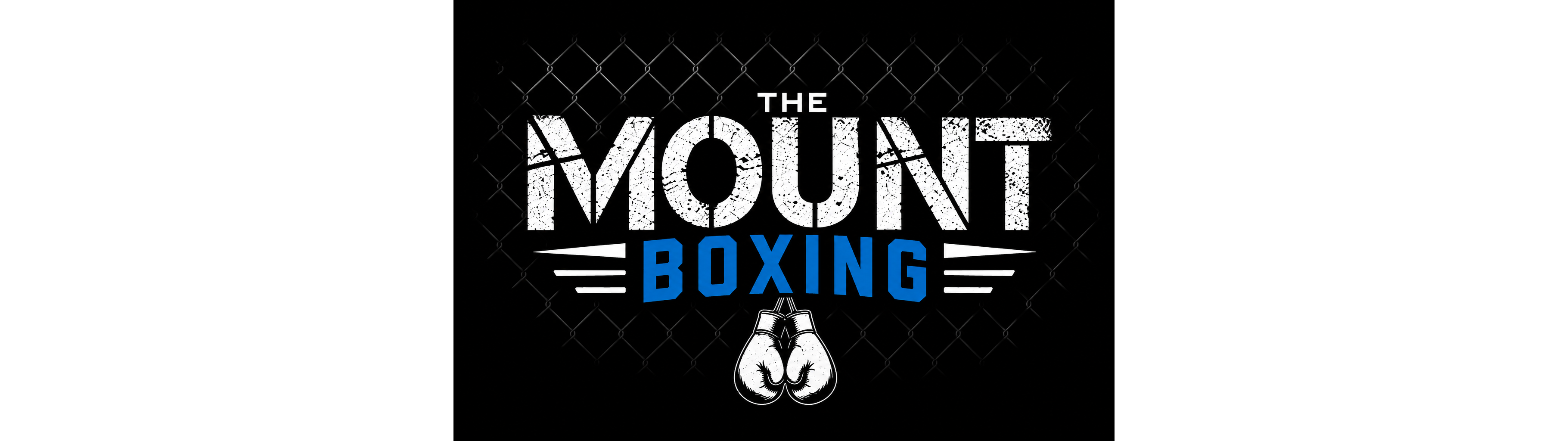 Why Boxing? More Than Just a Workout
