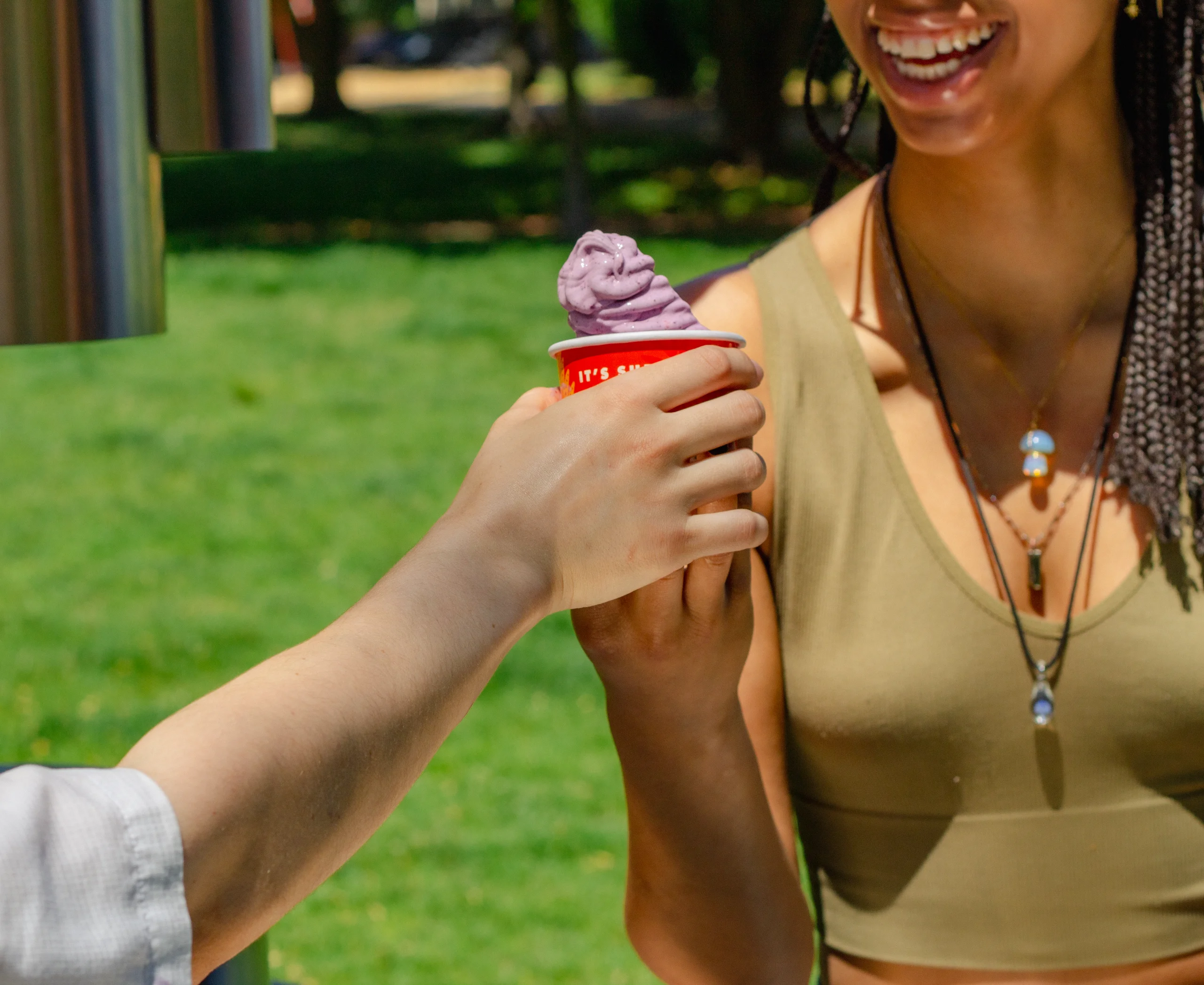 Elevate your gatherings with our delightful real fruit ice cream.
