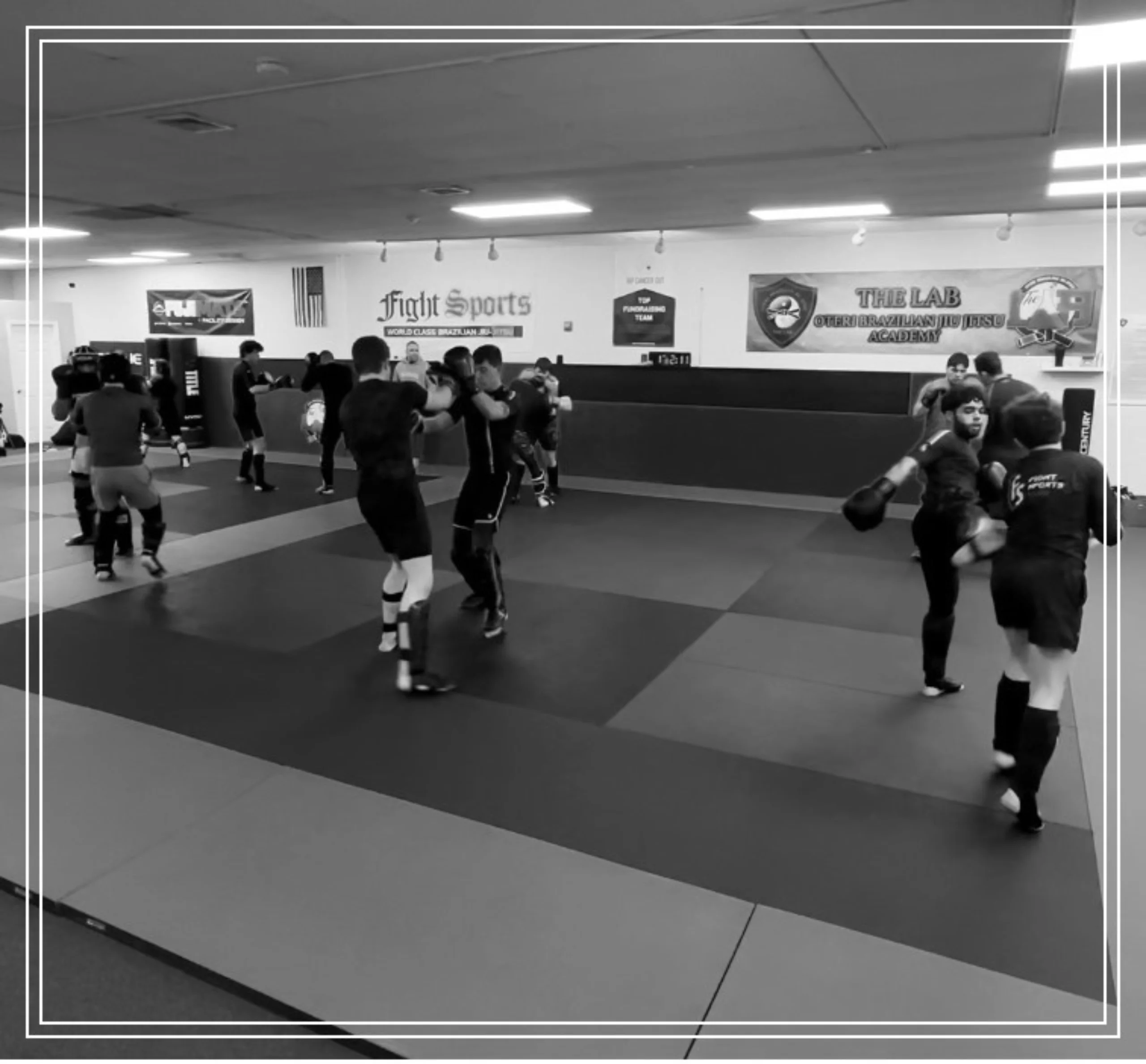 <p>MMA for all levels</p>