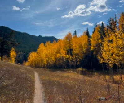 <p>We all have busy schedules. &nbsp;Every plan is athlete-specific, customized to help you meet your endurance goals, while working around all your other obligations.</p>