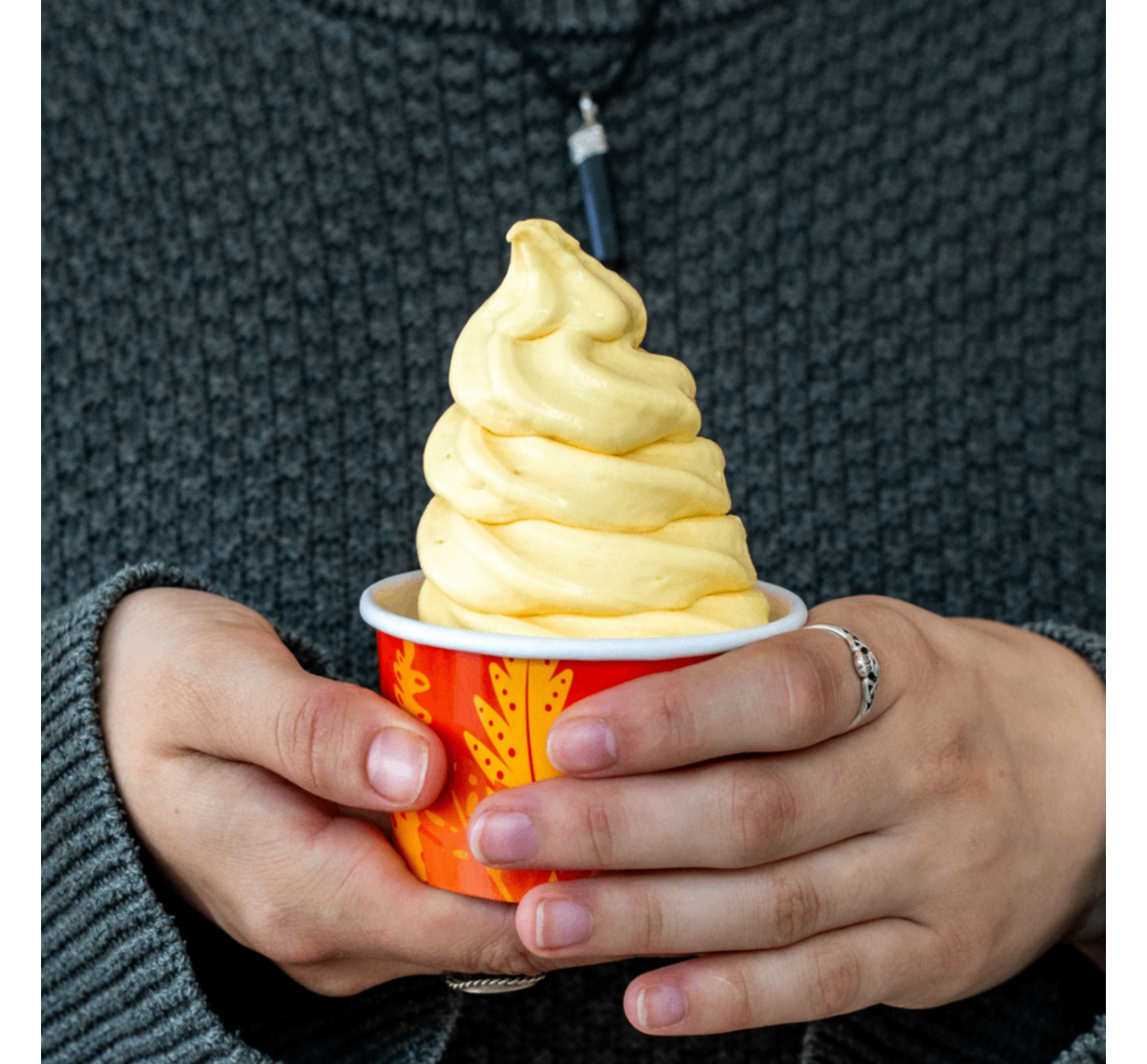 Bring the taste of real fruit ice cream to your next event.