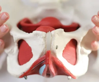 pelvic health physical therapy photo