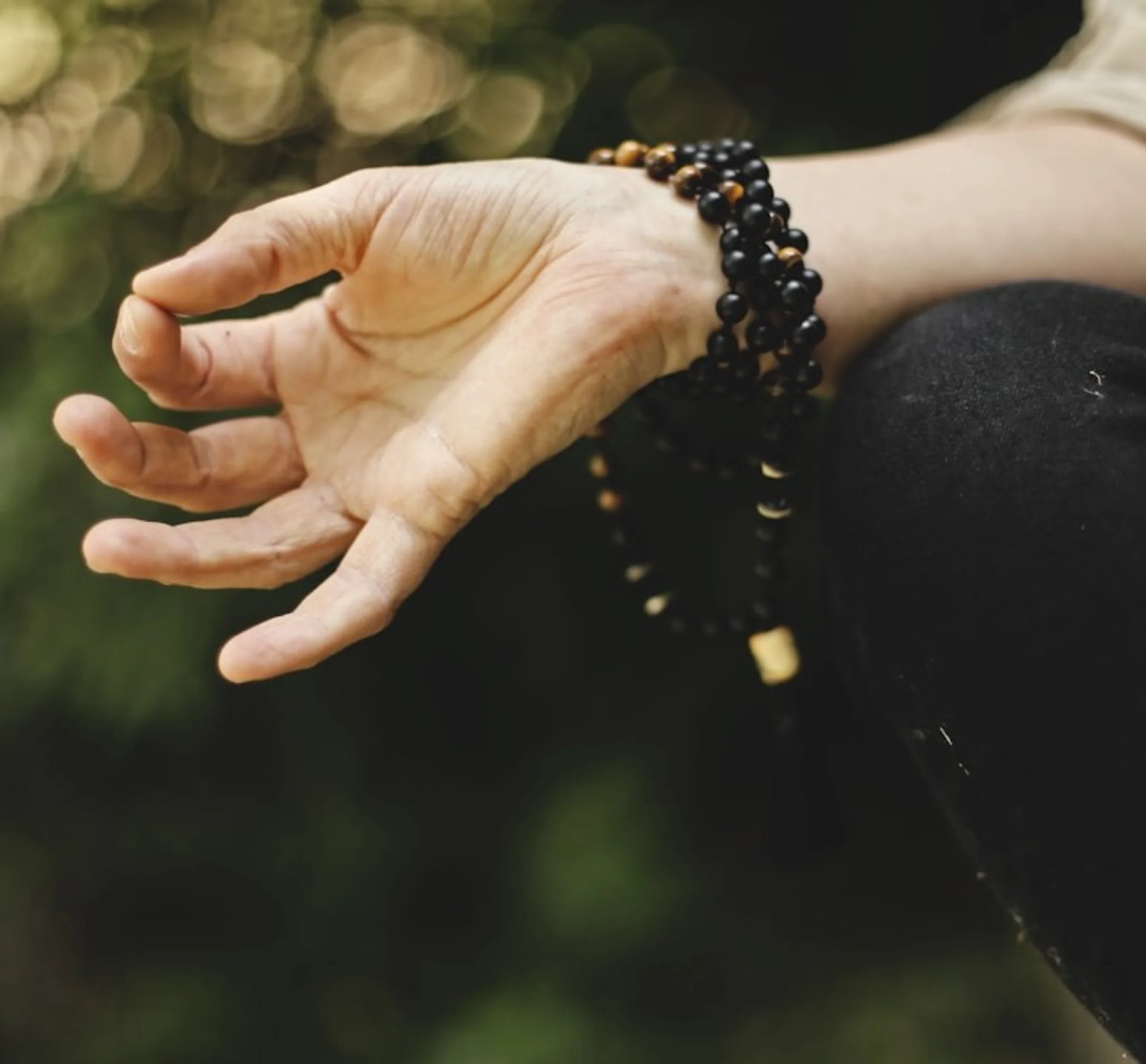 wellness services photo