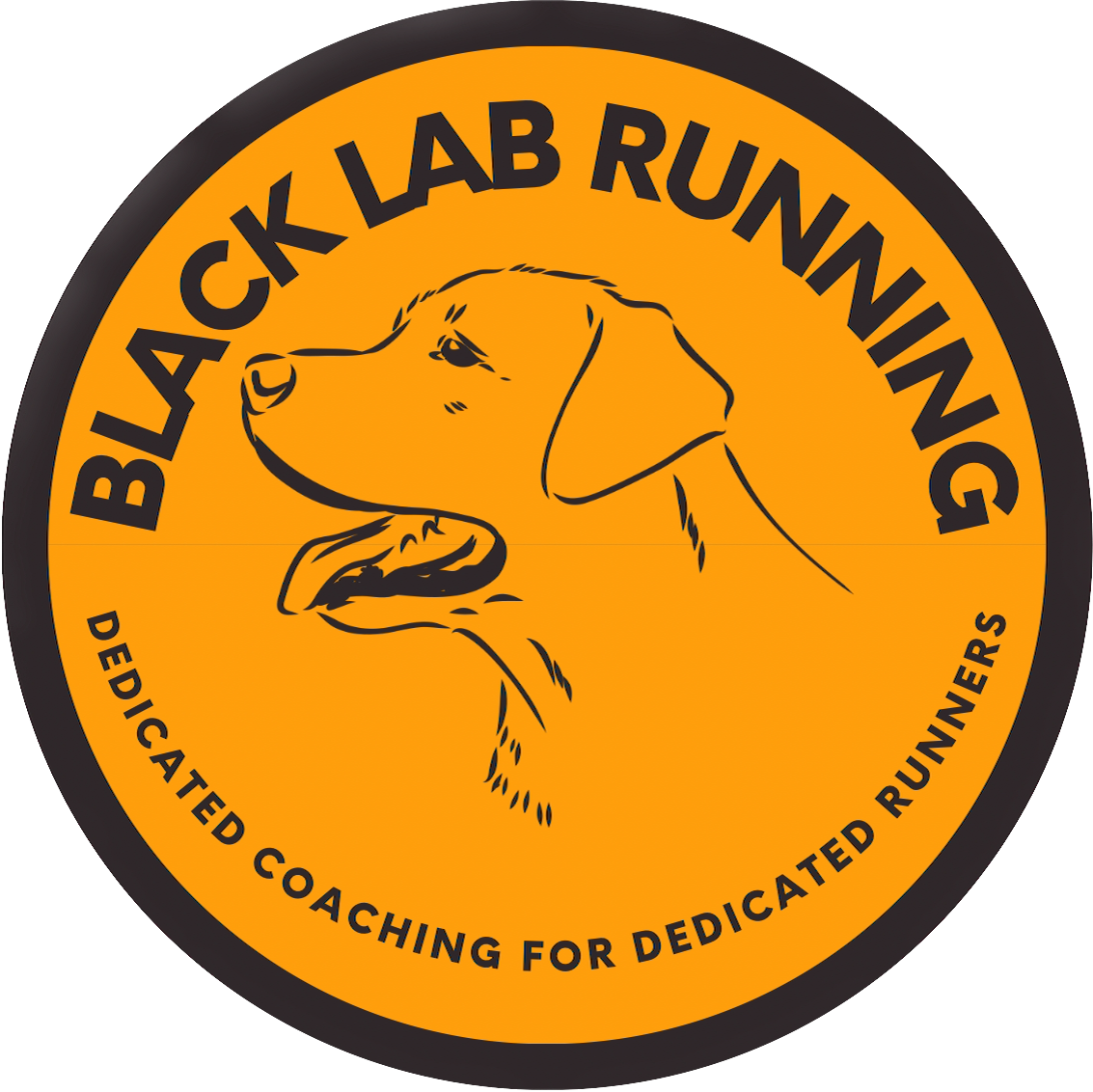 Black Lab Running