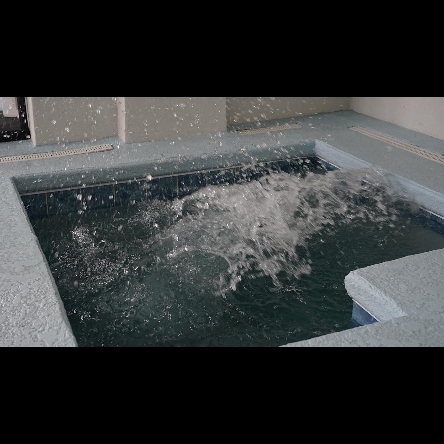 Cold Plunge Benefits for Athletes: What the Science Says