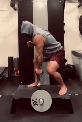 Fuel your fitness journey with our expert nutrition guidance.