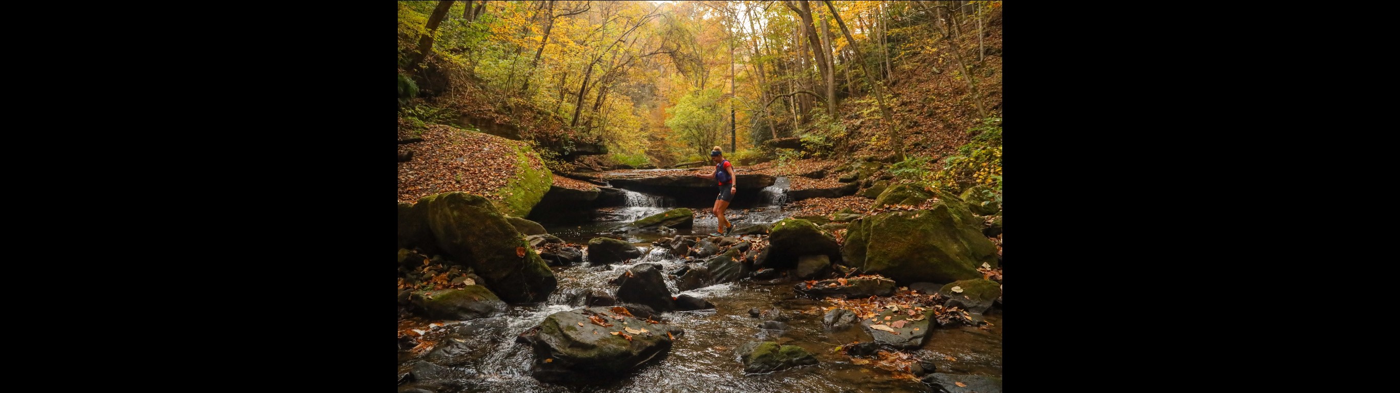 We Fall to the Level of Our Training