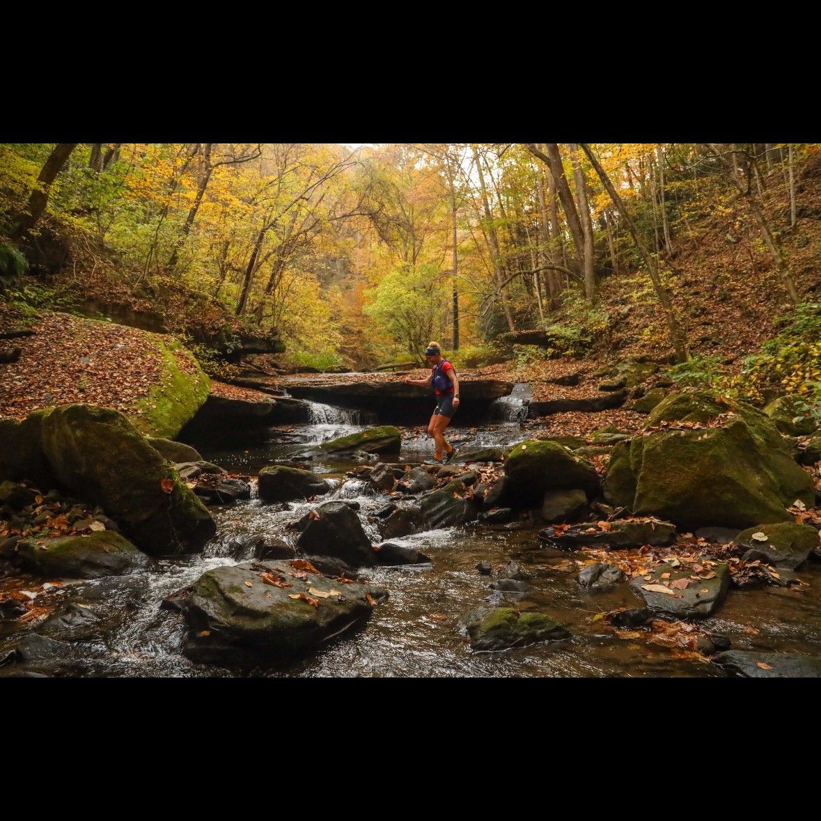 We Fall to the Level of Our Training