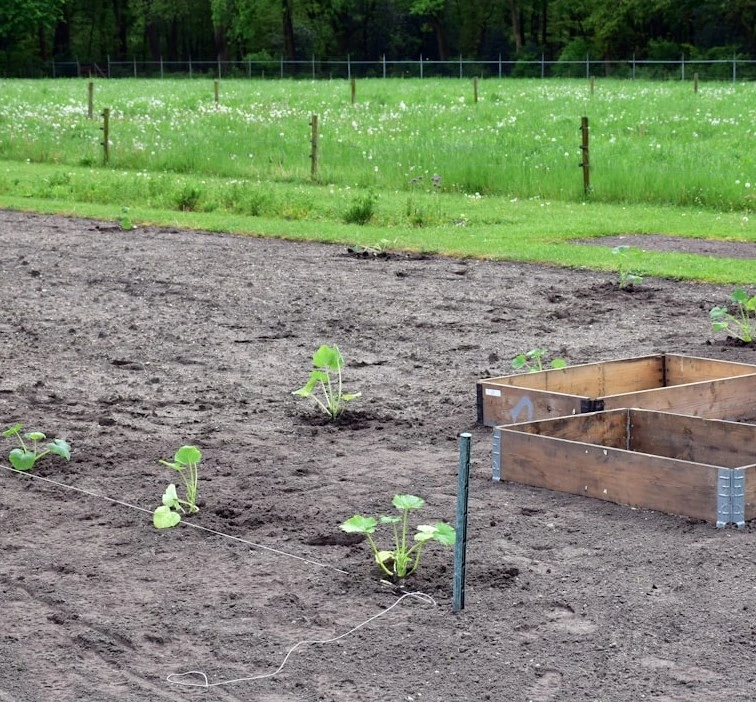 Promote a lush, healthy lawn all year round