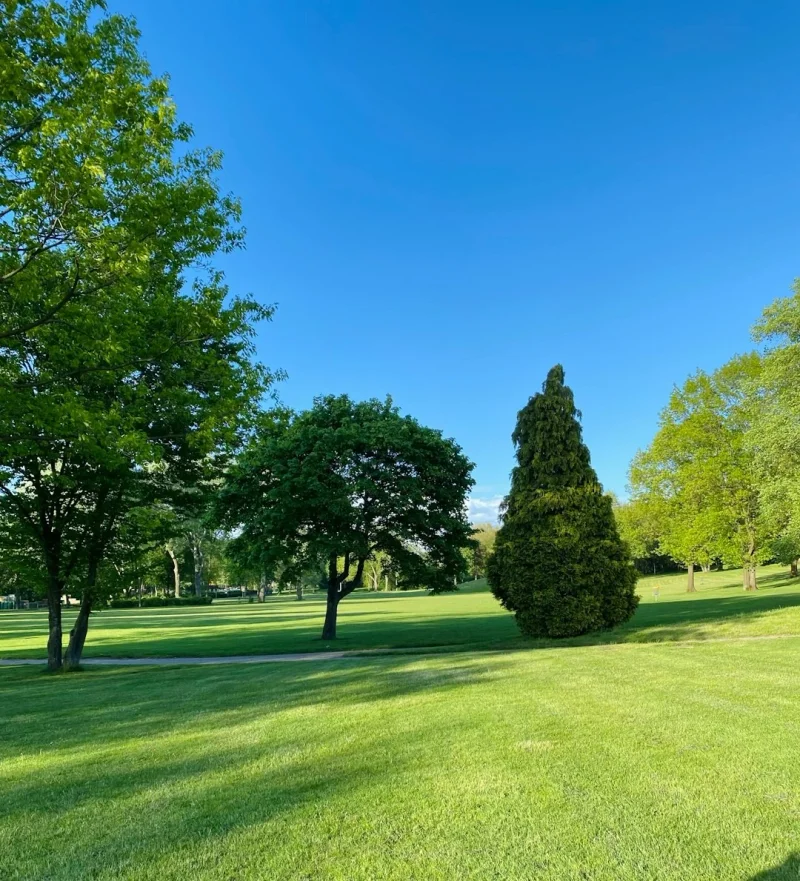 Experience the Difference in Your Outdoor Spaces