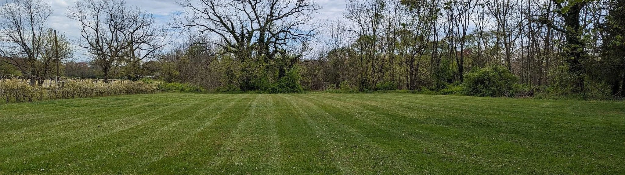 Get Your Lawn & Landscape Ready for Spring in Vineland, NJ: Free Consultation Available Now!