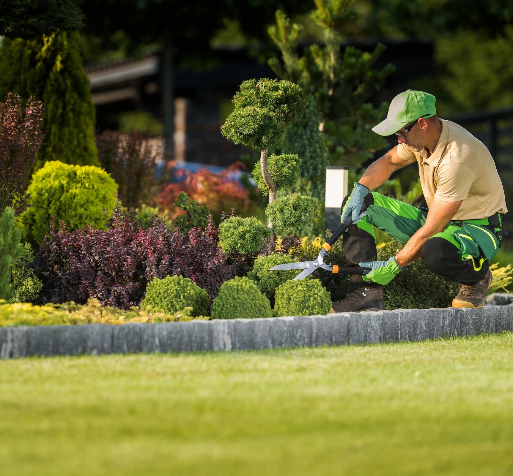 Enhance the beauty and health of your plants