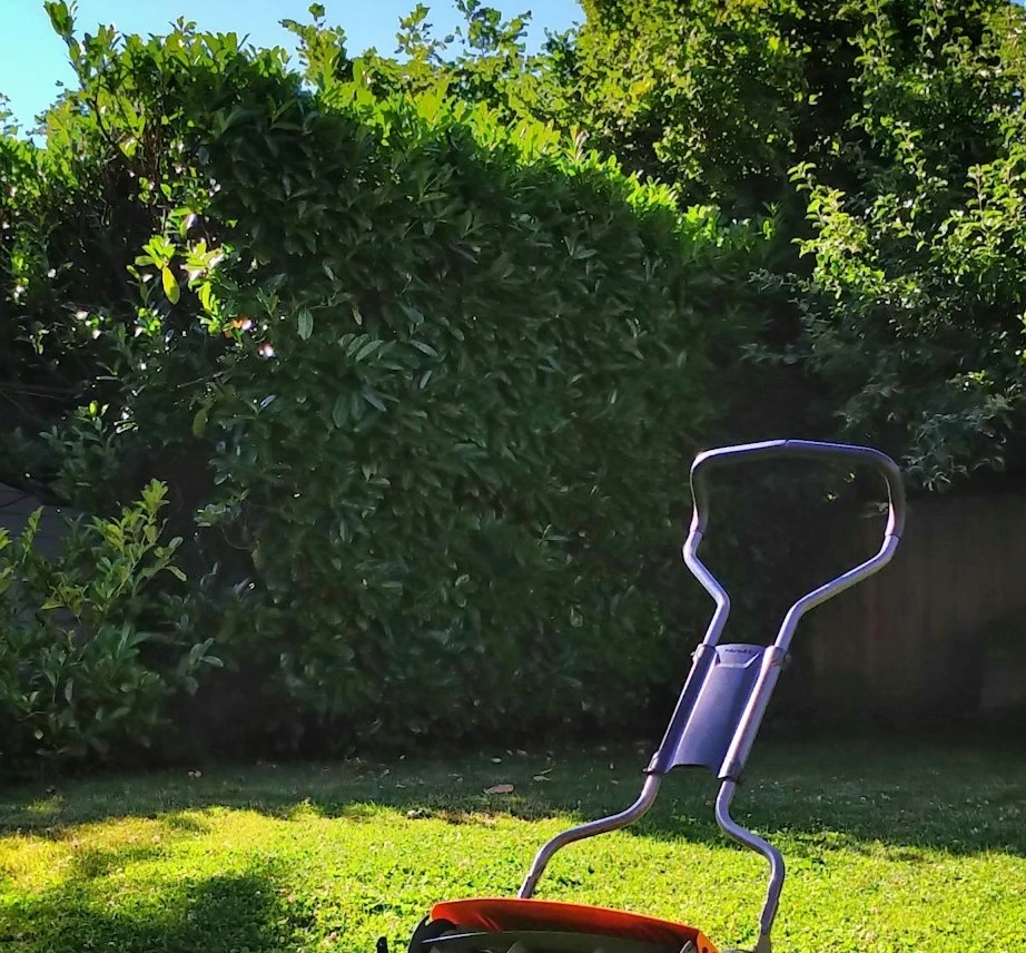 Improve your lawn's health and appearance