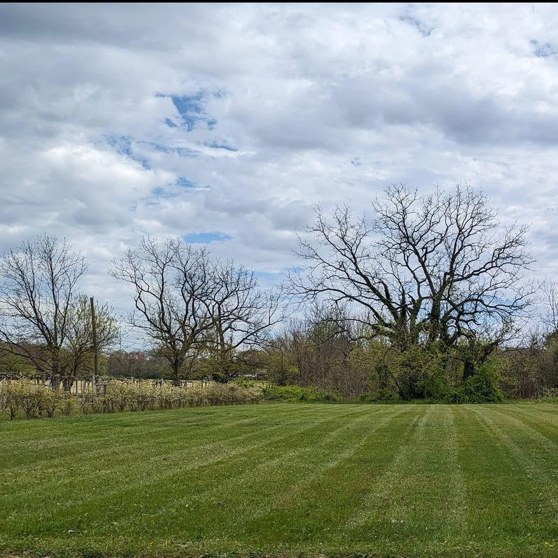 Get Your Lawn & Landscape Ready for Spring in Vineland, NJ: Free Consultation Available Now!