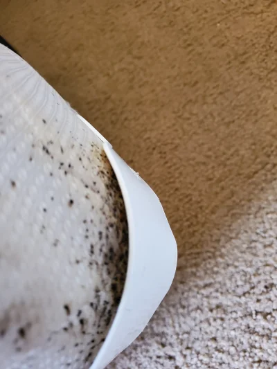 <p>Highly trained professionals dedicated to pest management. This is a service industry, and our focus is to provide the best service to our customers. You are not a number here, you are our priority.</p>