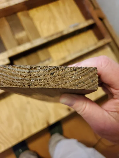 Receive a thorough evaluation of your pest issues.