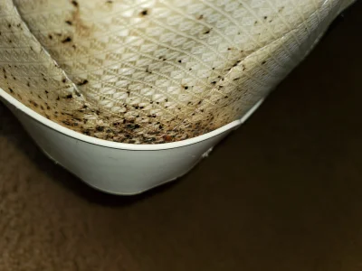 Get tailored pest control solutions for your specific needs.