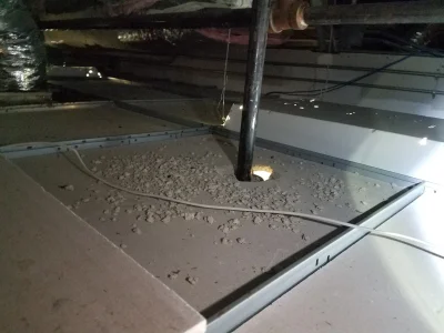 Enjoy continued assistance to keep pests at bay.