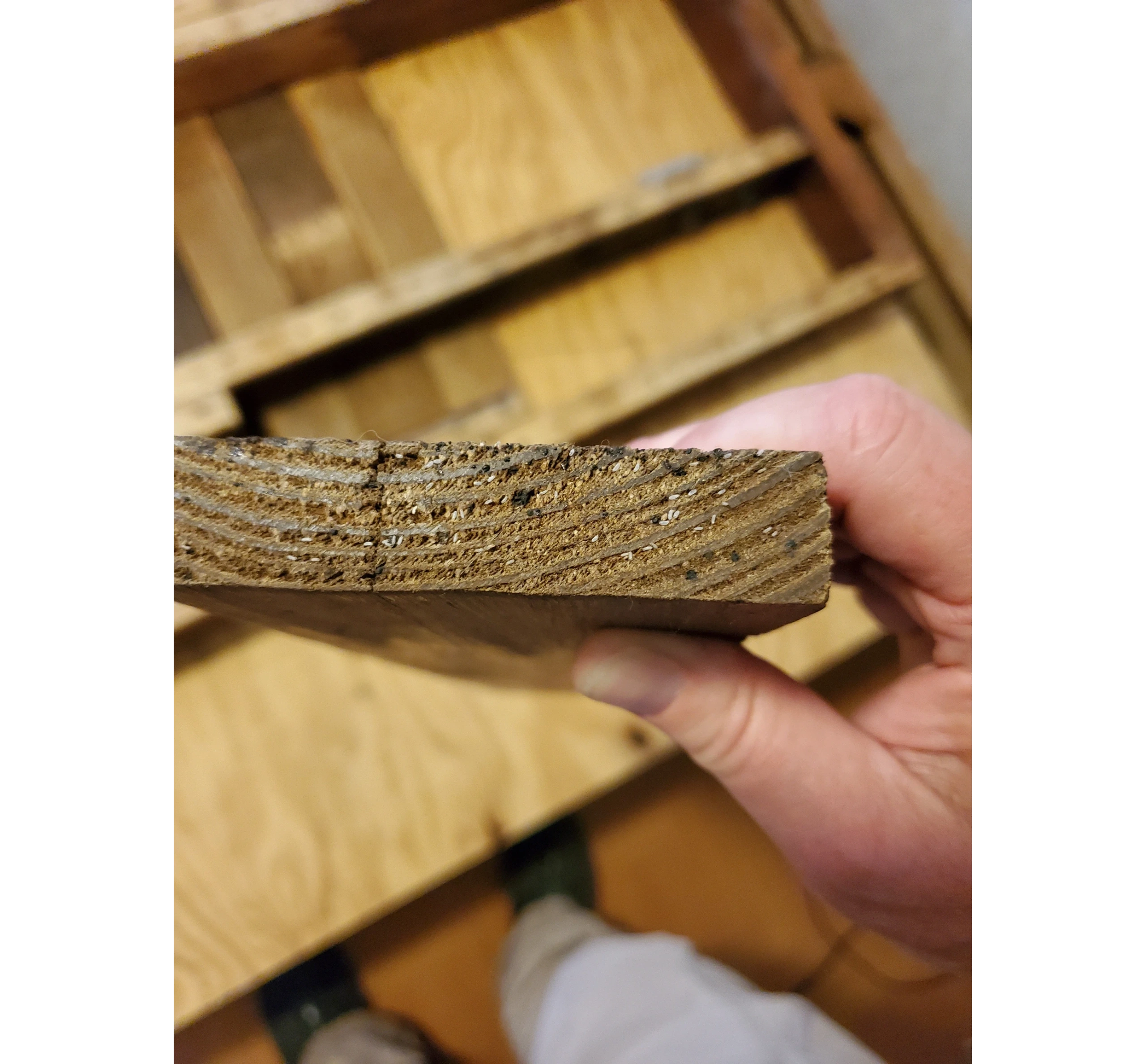 <p>Protect Your Home and business from Bed Bugs</p>