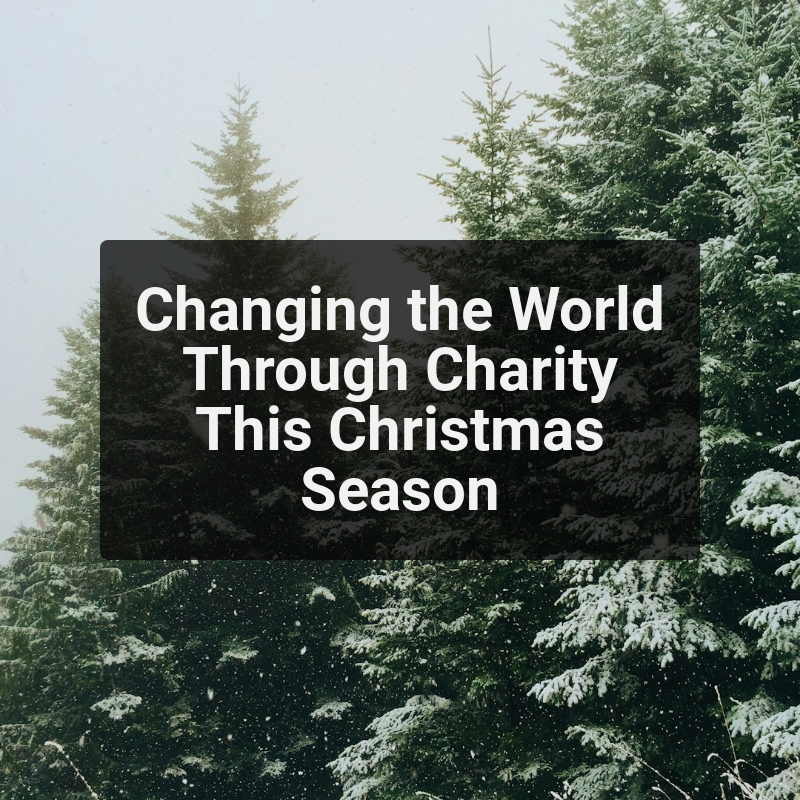 Changing the World Through Charity This Christmas Season