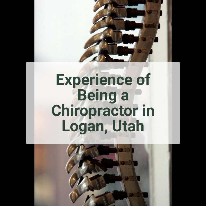 Experience of Being a Chiropractor in Logan, Utah