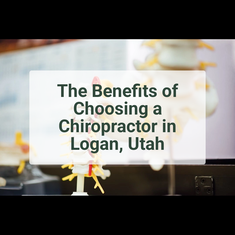 The Benefits of Choosing a Chiropractor in Logan, Utah