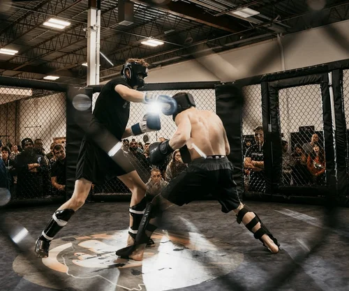 <p>Boxing, Jujitsu, Wrestling &amp; Combat Athletes</p>