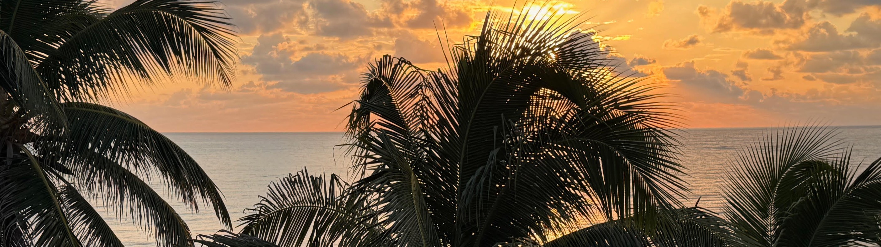 Rejuvenate with Elevate: Our First Retreat!