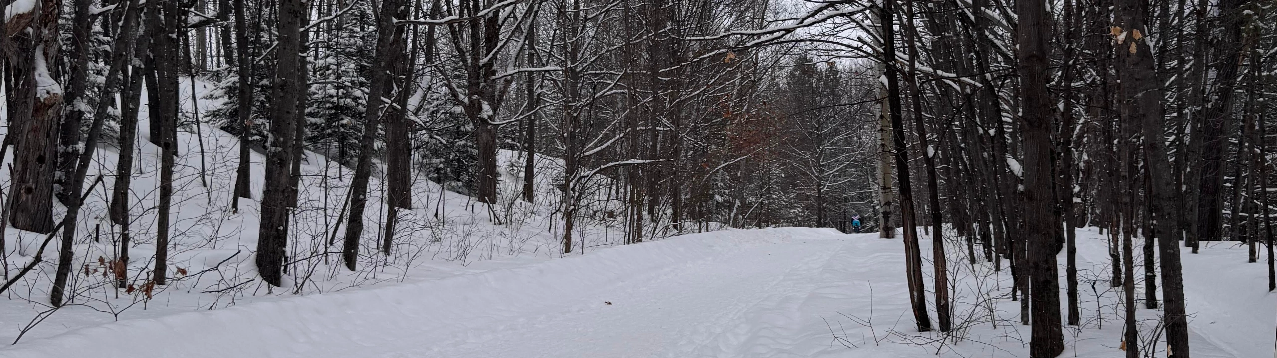 Joy in the Snow