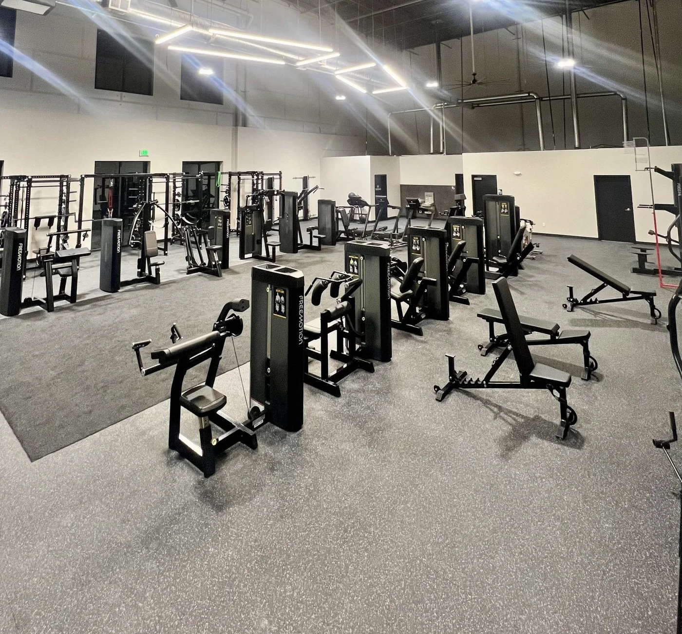 lifting weights dumbbells
